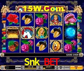 Login Seguro Snk Bet