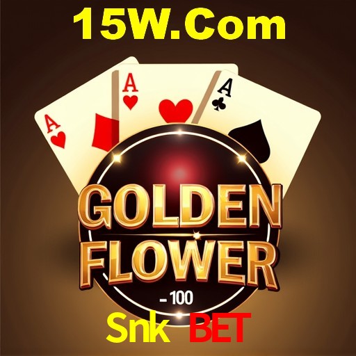 Interface Premium Snk Bet