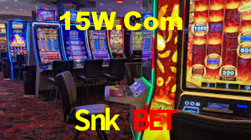 Experimente o Login Seguro Premium no Snk Bet